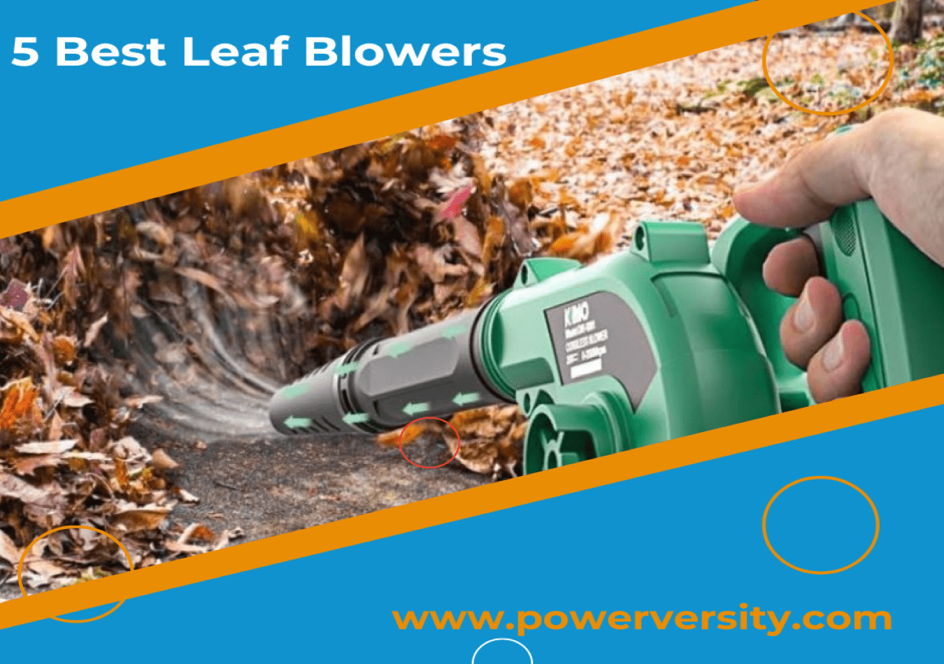 5 Best Leaf Blowers