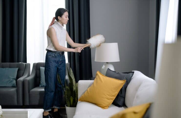 How To Clean A Lampshade