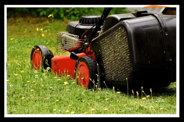The Best Electric Lawn Mower The Best Electric Lawn Mower