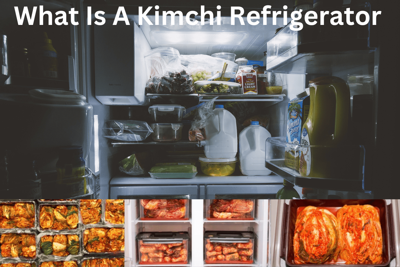 What Is A Kimchi Refrigerator