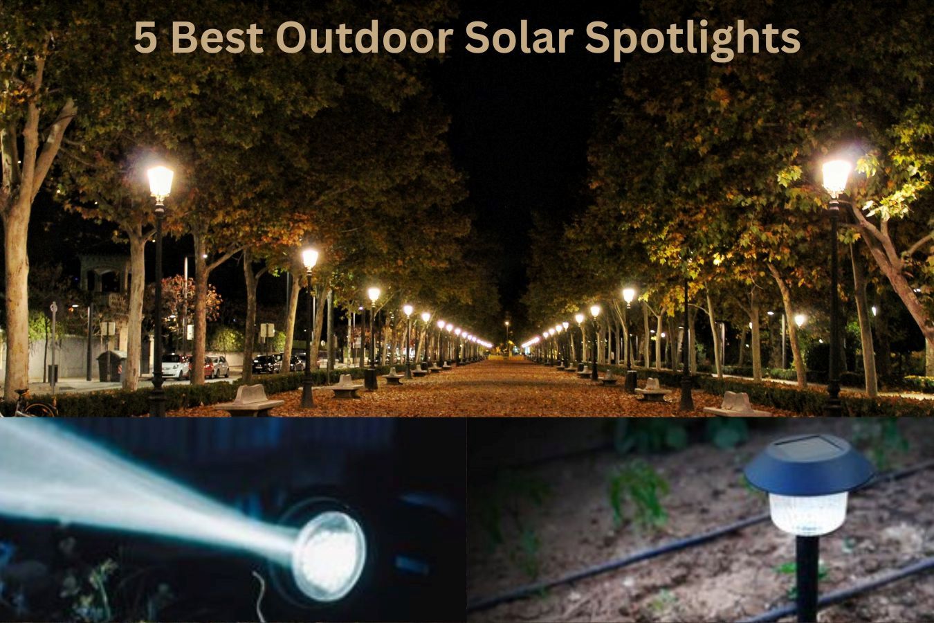 5 Best Outdoor Solar Spotlights