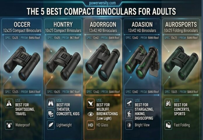 5 Best Compact Binoculars for Adults 5 Best Compact Binoculars for Adults